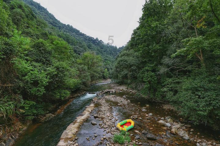 心灵杀手
